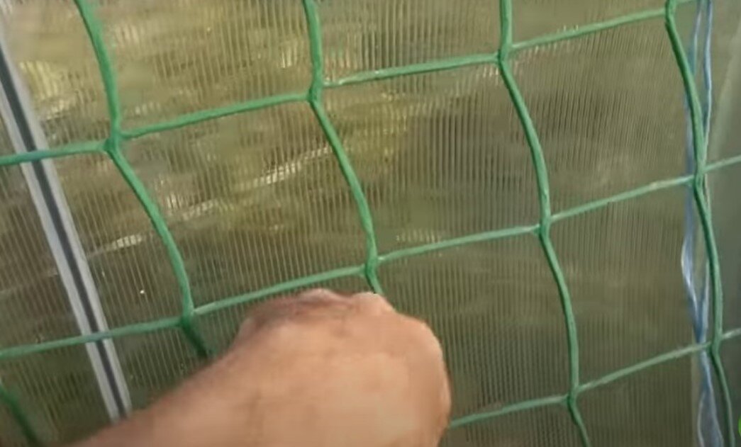 Вот такая вот сетка была накинута на теплицу. Я даже не поленилась, чтобы сфотографировать.