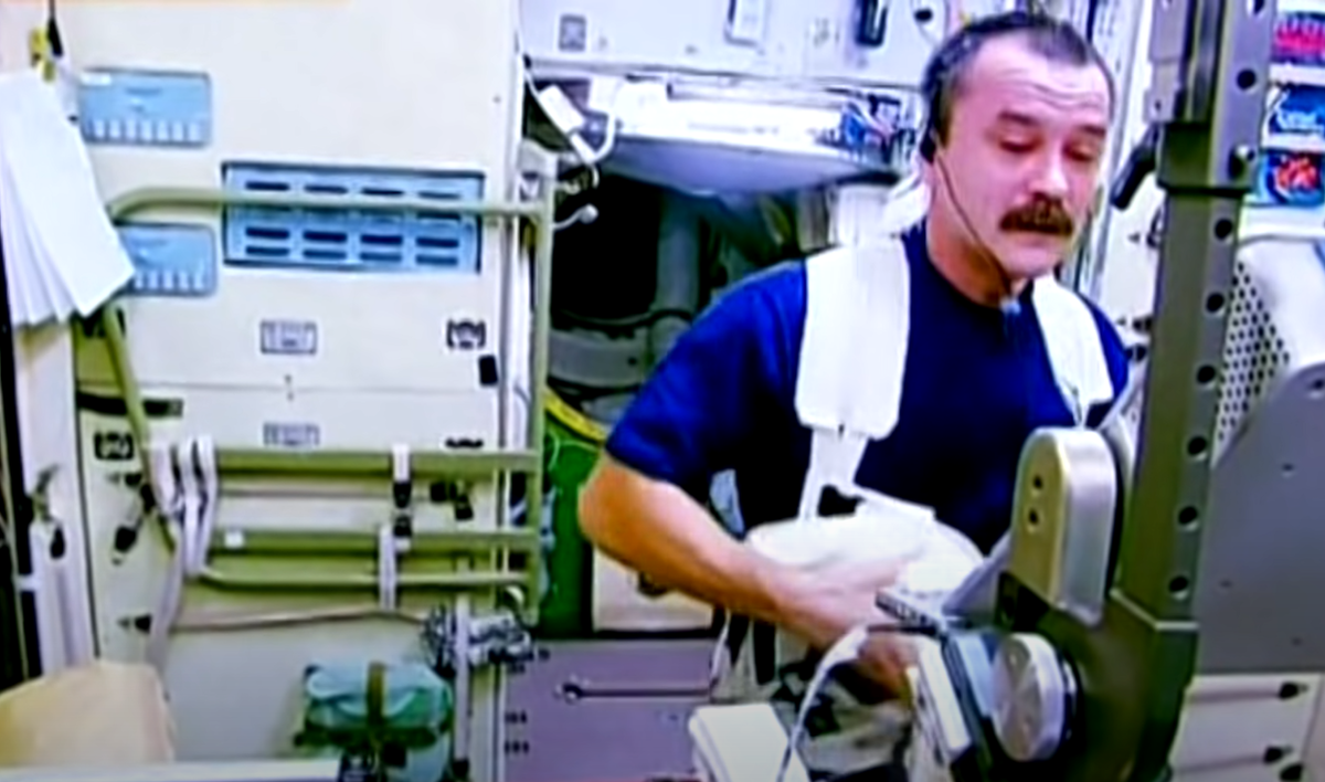 Изображение взято из открытого источника 