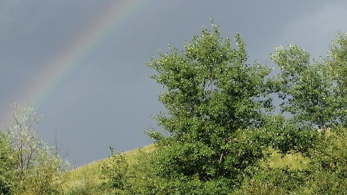 Радуга - это природное явление . Но рисует эту картину Творец в знак дружбы с теми , кто её увидит. Ободритесь , когда увидите радугу  !