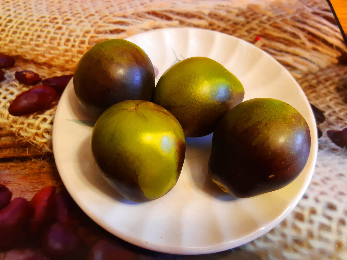 Томаты "Контраст Фландрии" (фото автора)