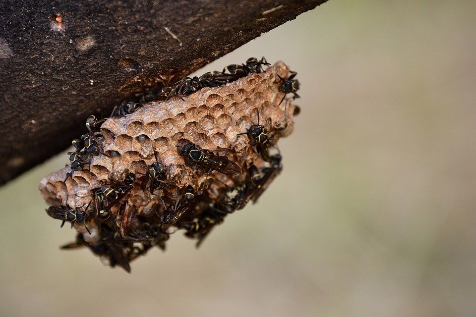 фото взято из открытых источников