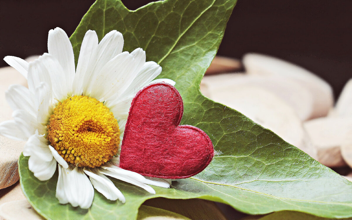 pixabay.com