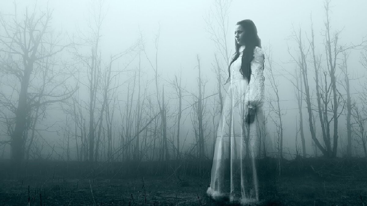 Фото взято из открытых источников интернета