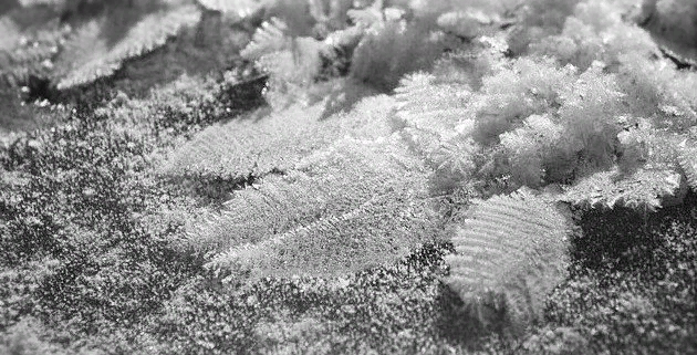 Примерно такими были снежинки в Москве 44-го ода. Но, в несколько раз больше