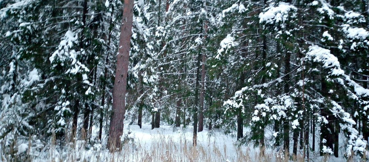 -1-2