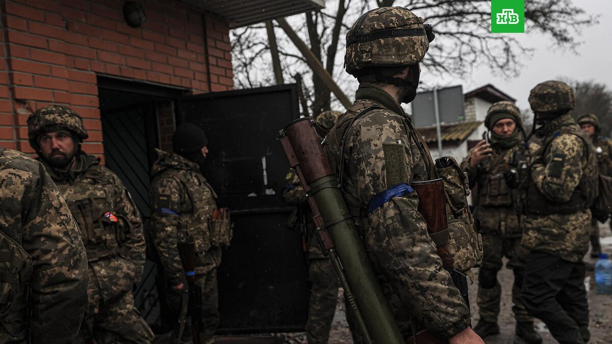    Фото: Metin Aktas / Anadolu Agency / Getty Images