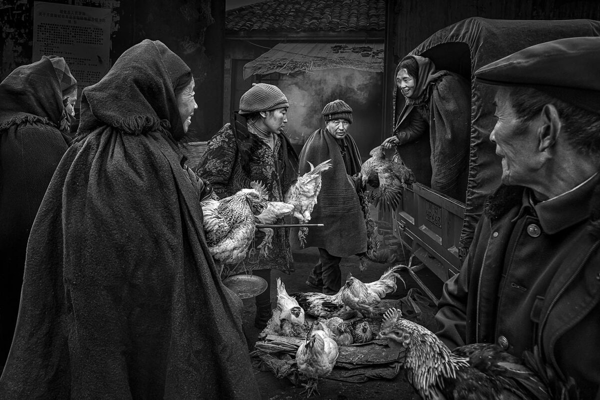 Ching Ching Chan (Hong Kong), Hen Market/Птичий рынок