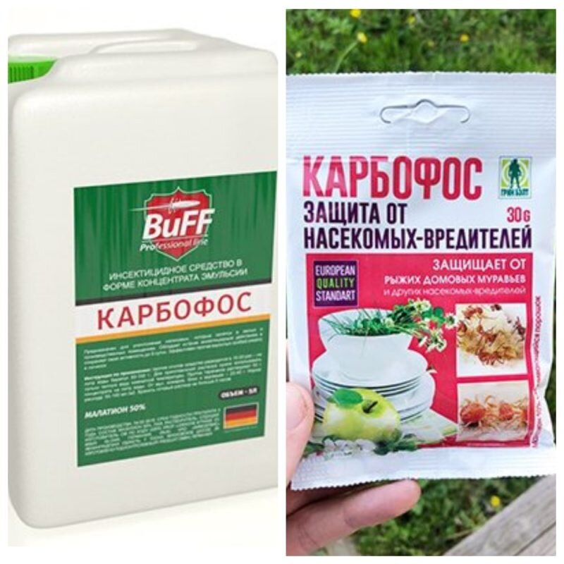 Карбофос для обработки деревьев и кустарников весной. Карбофос 500. Карбофос удобрение. Карбофос 50%. Карбофос от насекомых вредителей.