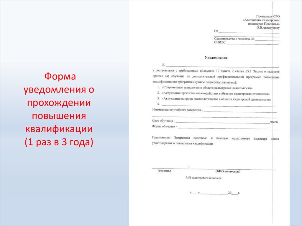 Яндекс-картинки
