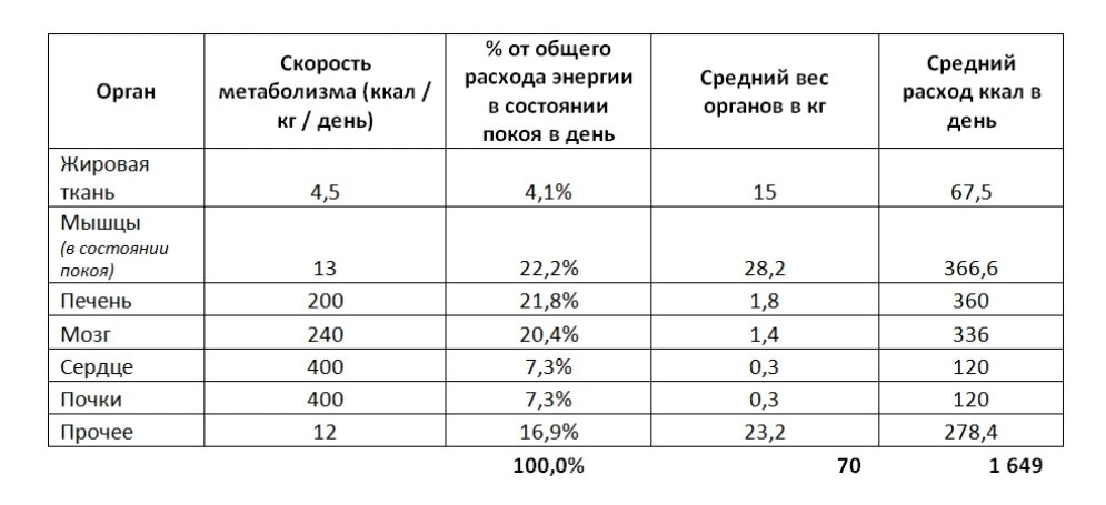 Исследование: Peters A, Bosy-Westphal A, Kubera B, Langemann D, Goele K, Later W, Heller M, Hubold C, Müller MJ. Why doesn’t the brain lose weight, when obese people diet? Obes Facts. 2011;4(2):151-7. doi: 10.1159/000327676. Epub 2011 Apr 7.