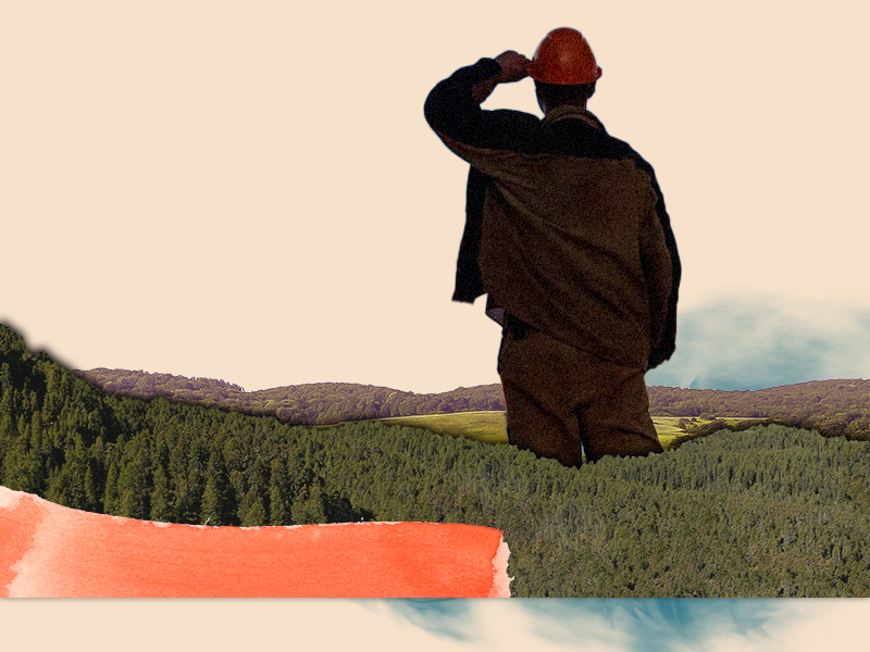 домой с вахты. вернулся с вахты картинки. вахтовики на севере. вахта север. завтрак вахтовика.