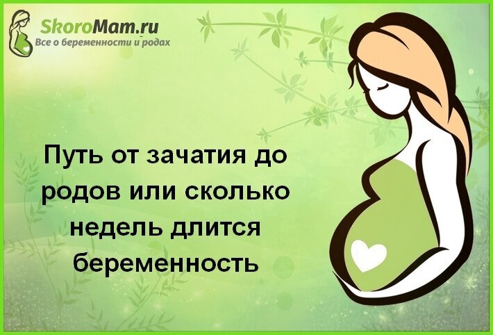 Календарь беременности по неделям. С первого взгляда - шаг за шагом к детскому счастью | Medela