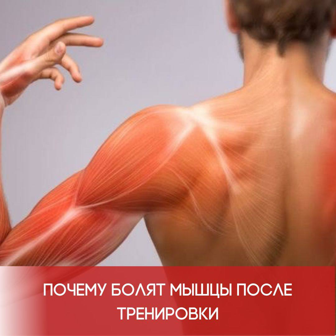 Боль в мышцах после тренировки | Причины и способы снять боль
