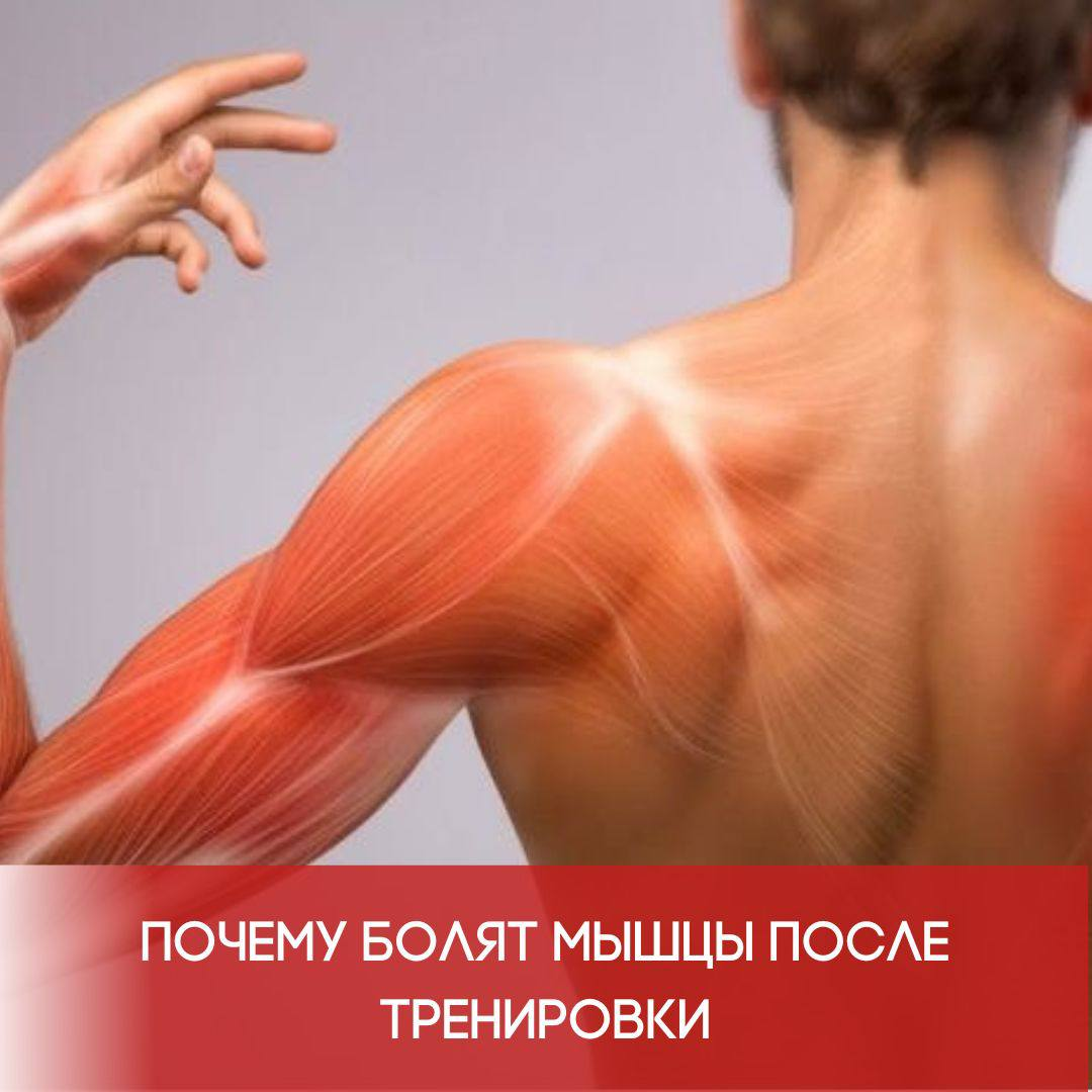 DOMS и боль в мышцах после тренировок