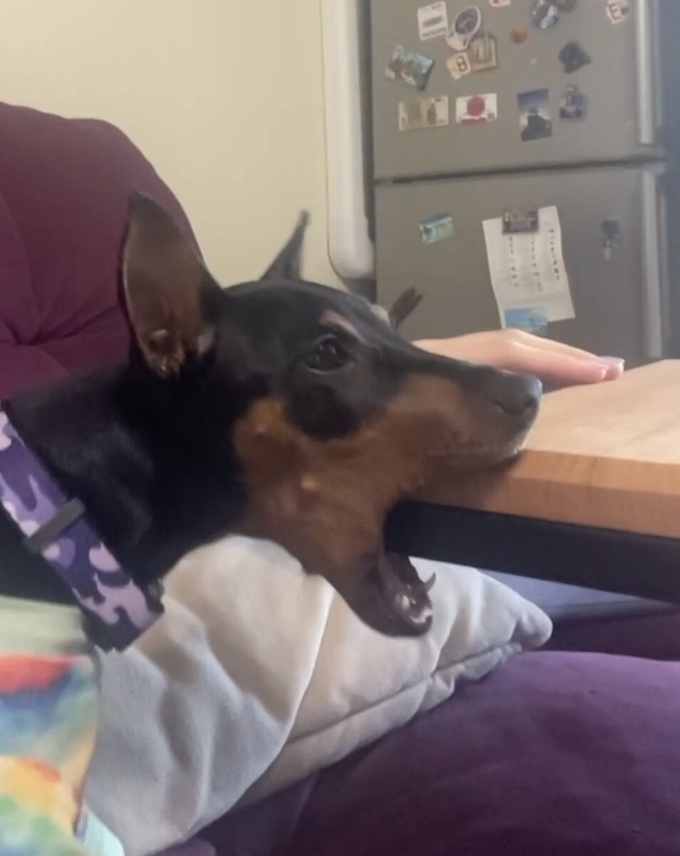 Даже не знаю как это описать. 