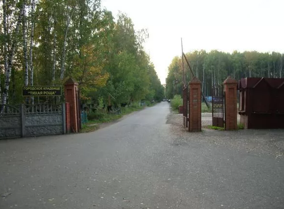 Взято из источника yandex.ru