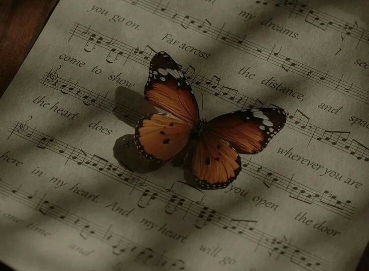 Ответы на вопросы №2!!