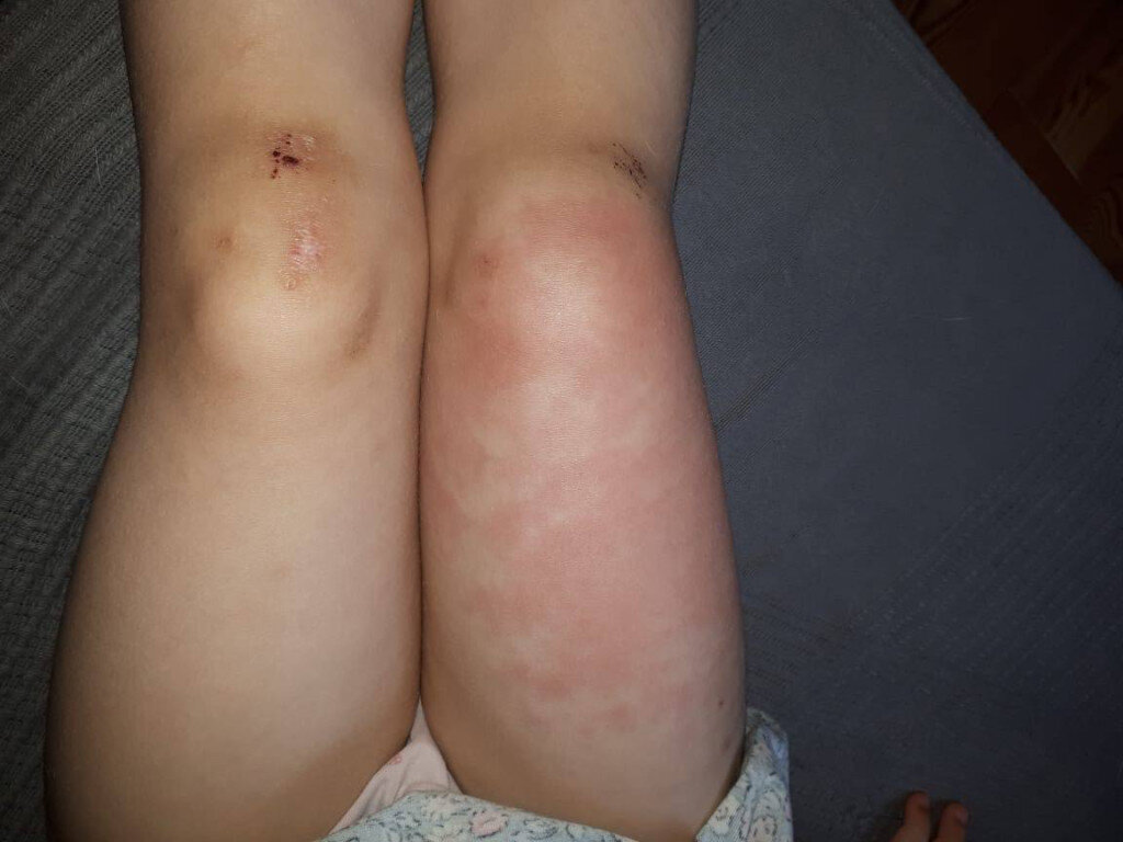 Фото: Тульская служба новостей