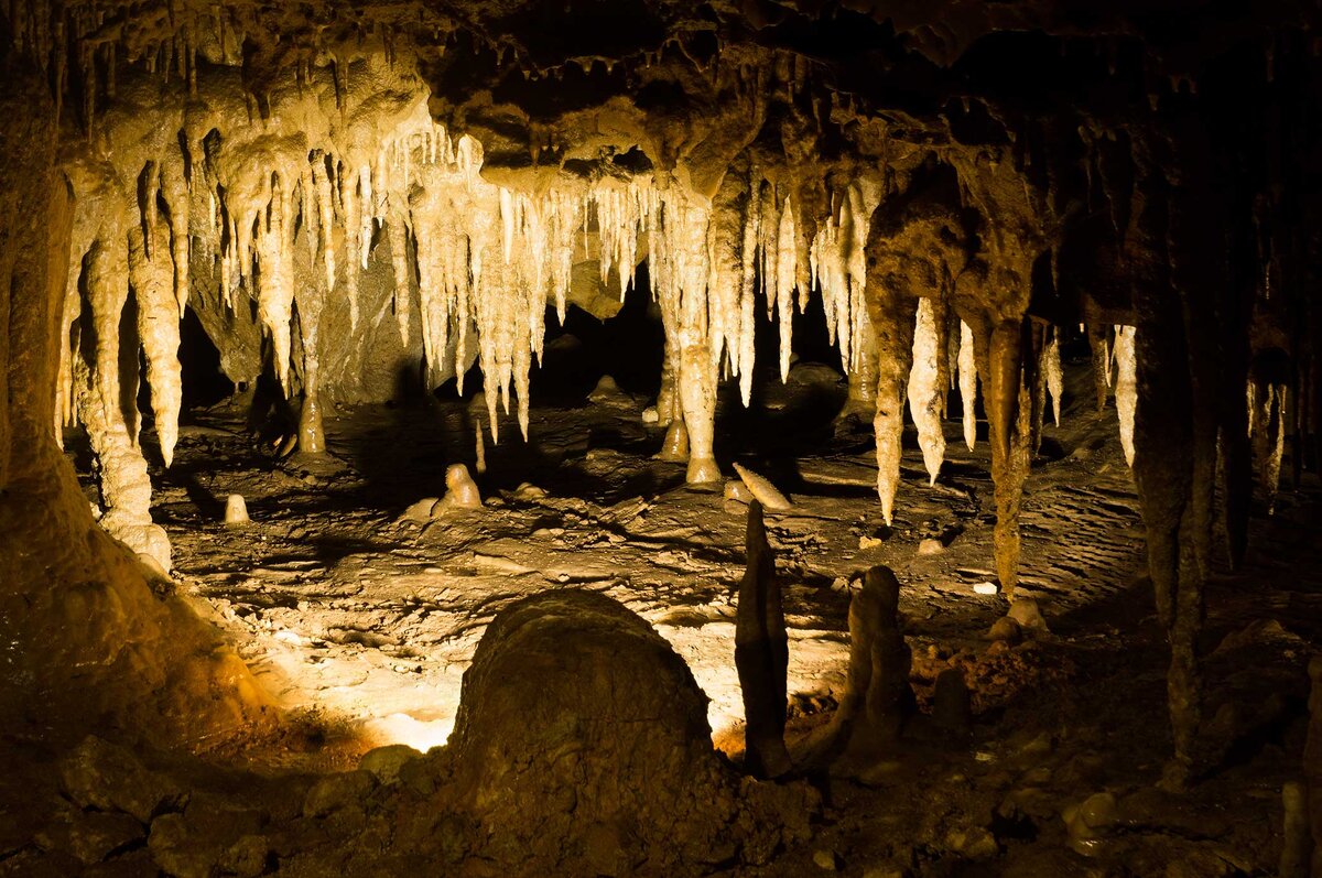 Из открытых источников.