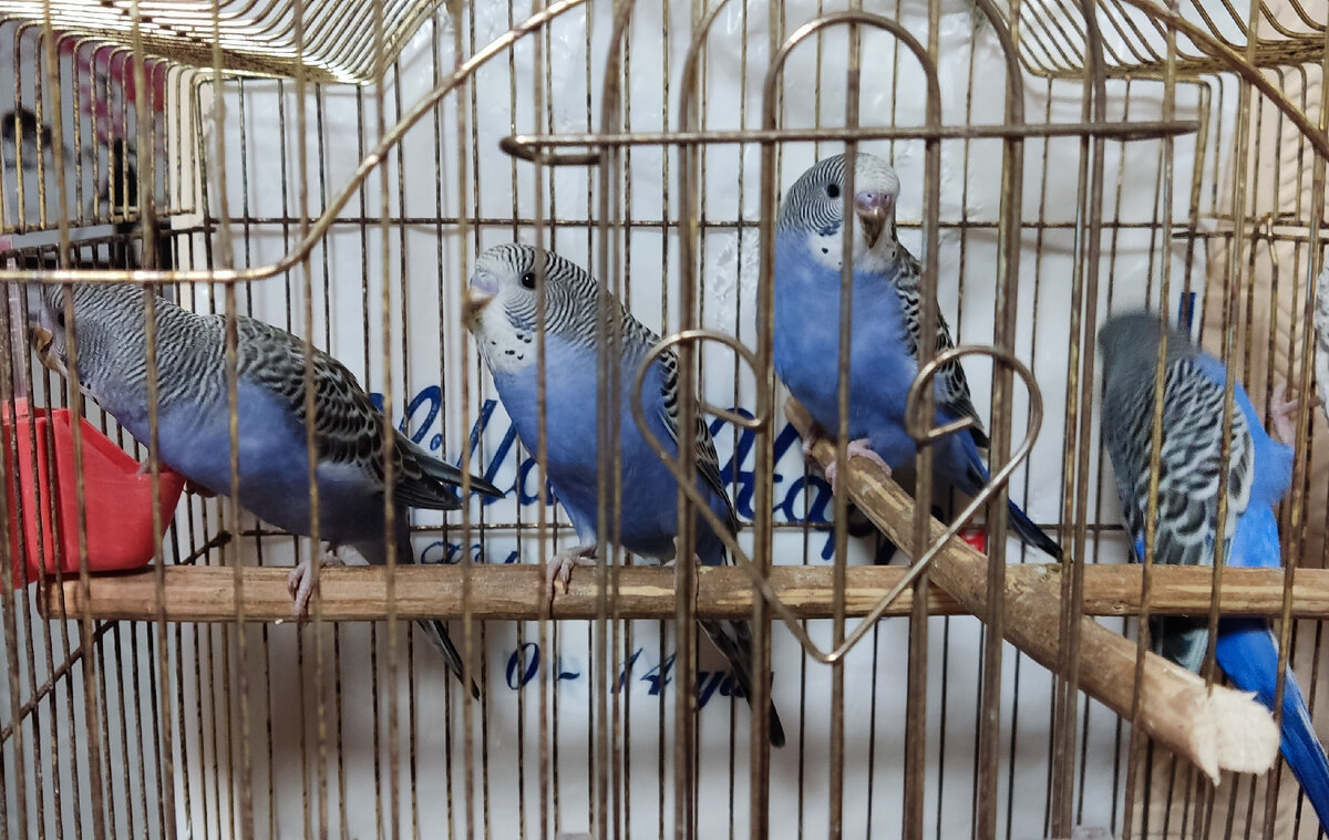 Ведь правда же?