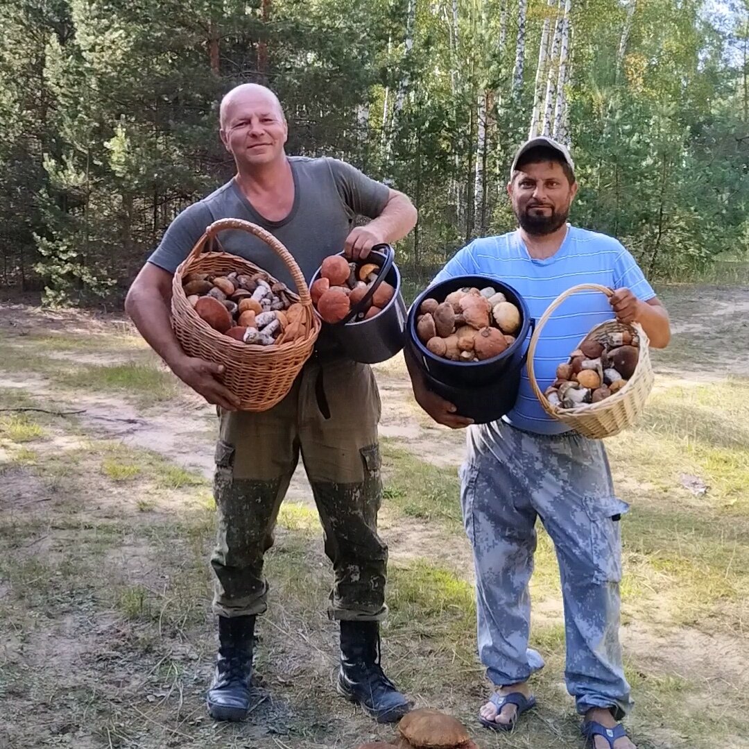 Грибные войска белоруссии. Грибные войска. Мужик с грибом.