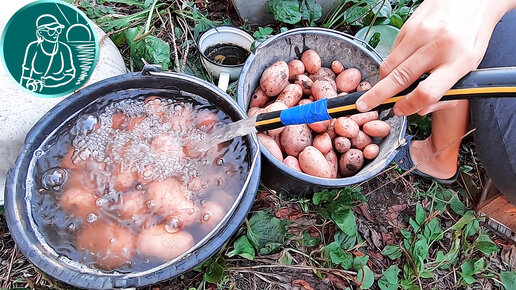 🥔 Можно ли мыть картошку перед хранением 🍠 Хранение картофеля 🌱 Опыт Гордеевых