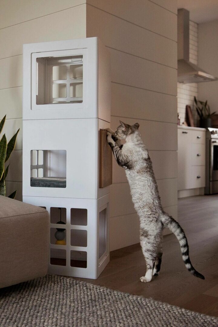 Как выбрать кошачий домик для современного интерьера? | OstudiO Дизайн  Инженерия | Дзен