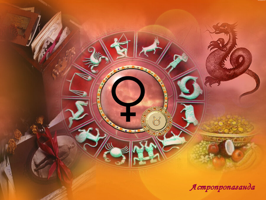 Коллаж Нины Стрелковой.