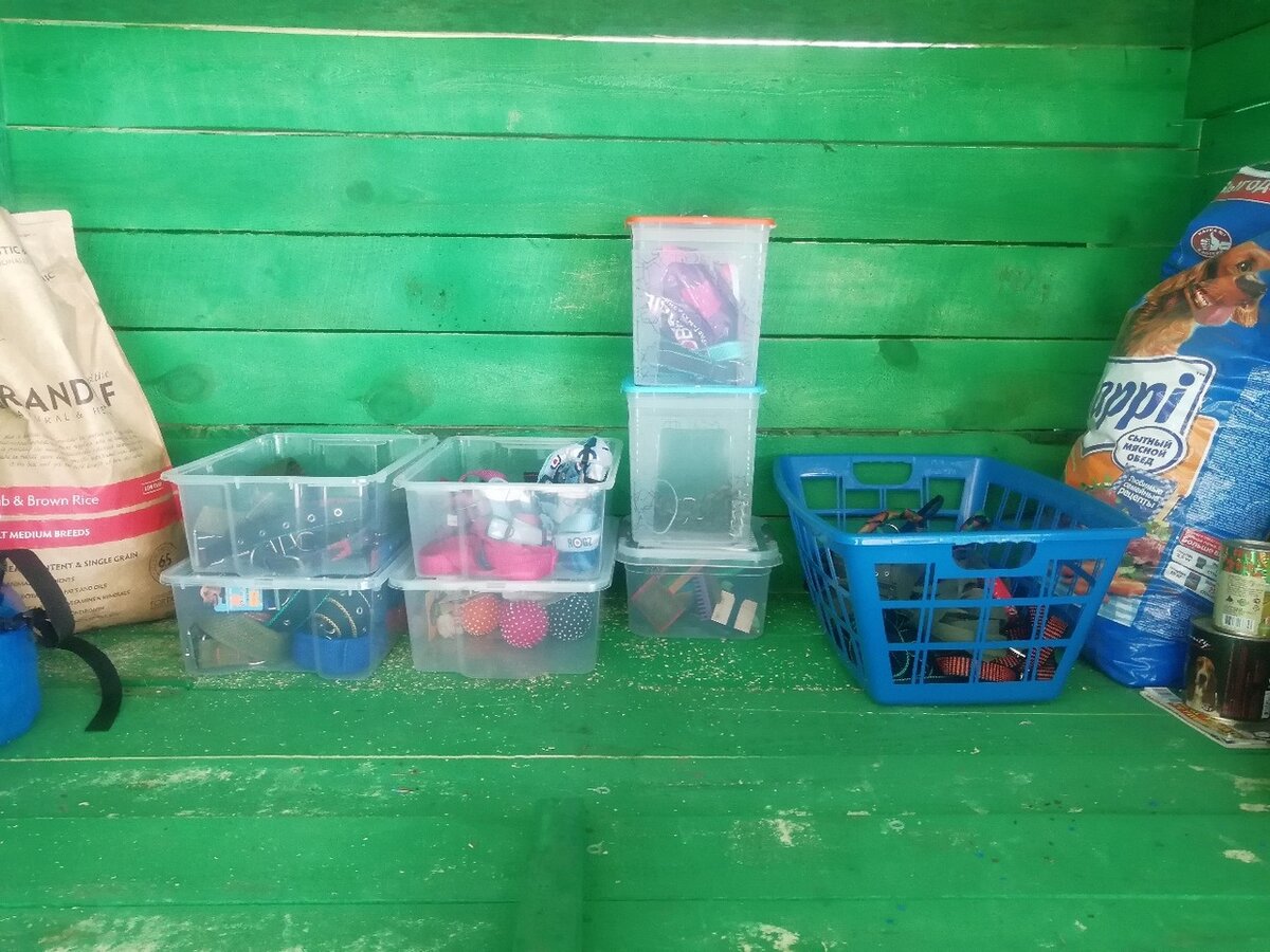 Приют для собак в Солнцево. Москва