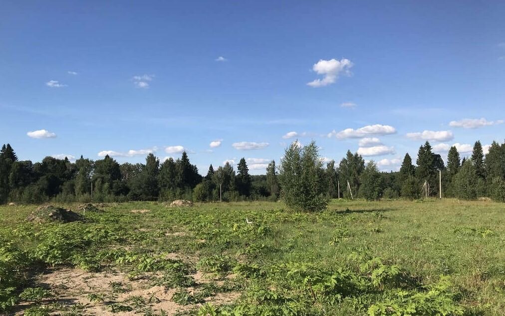 Покупка участка в поле можно рассматривать лишь только как вариант на далекую перспективу. Если отдыхать нужно "здесь и сейчас", то этот вариант совсем не подойдет