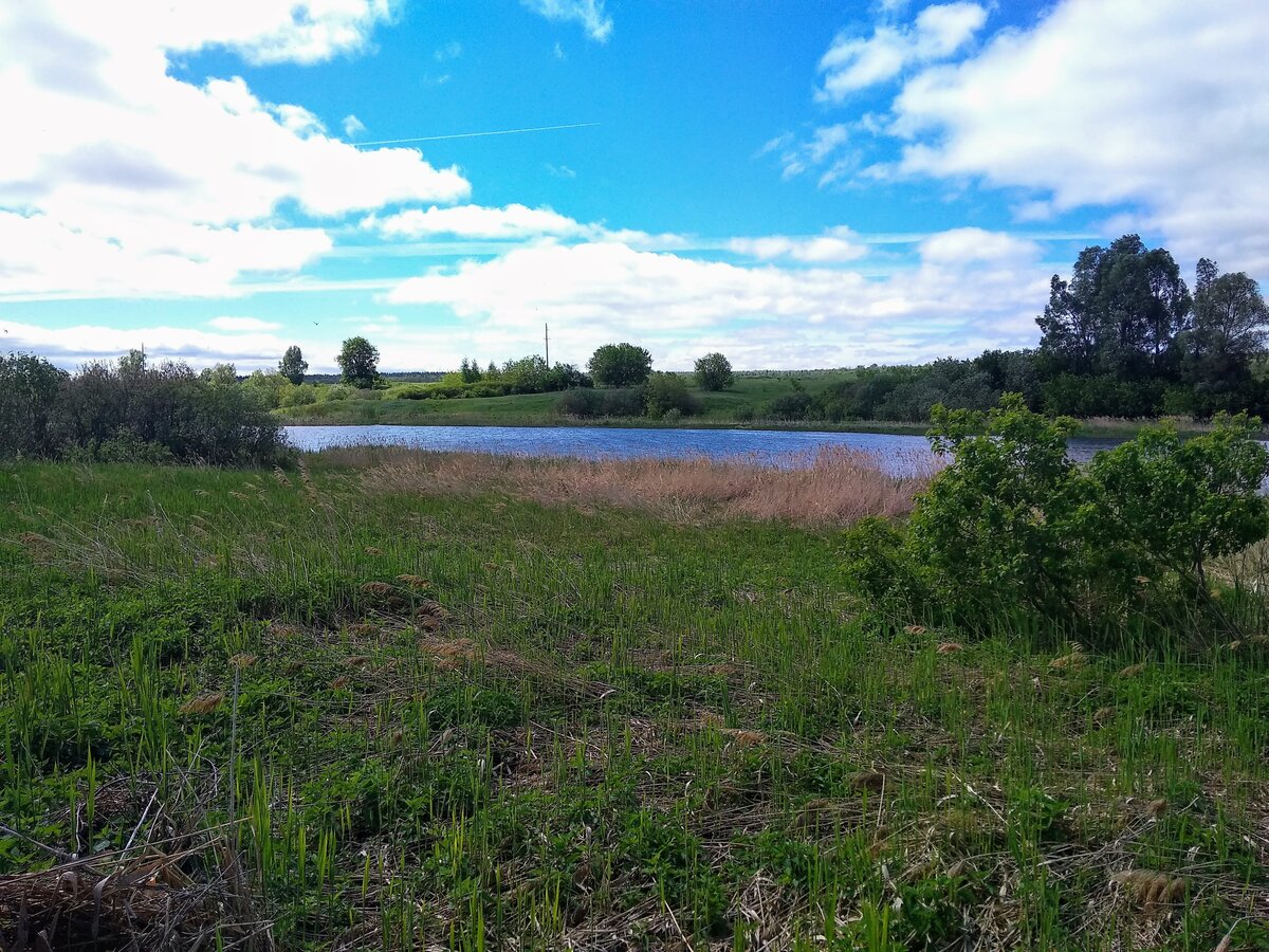 Русский Мелекесс – село в Ульяновской области. Красивые фотографии и  небольшой рассказ. | Заметки на полях | Дзен