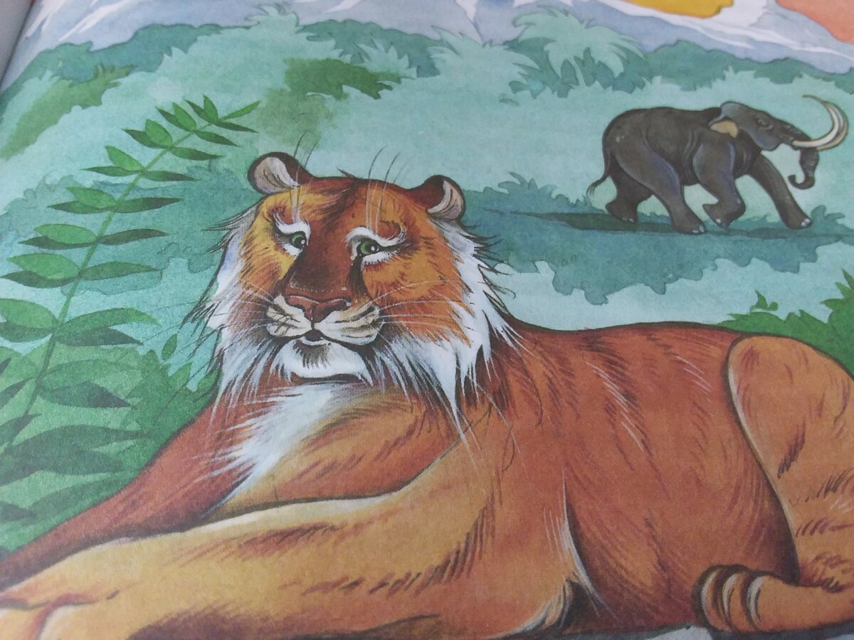 Первый Тигр.