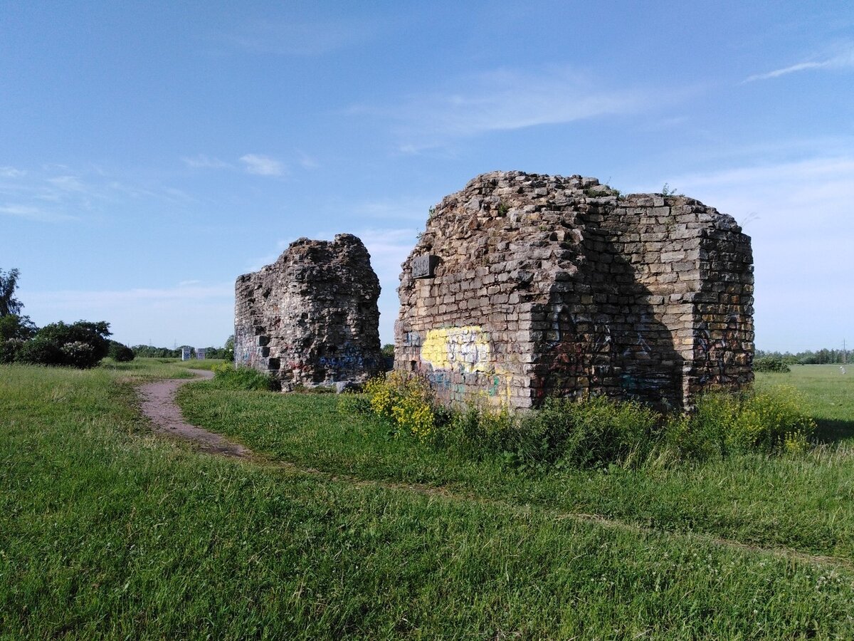 буферный парк в пушкине