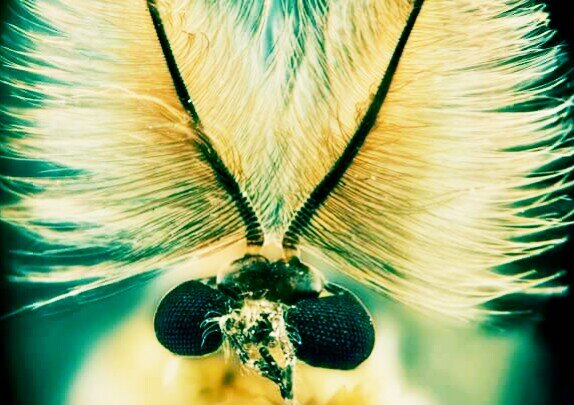 ВНИМАНИЕ !!! не подписываться на канал людям без чювства юмора!!! ВСЕМ БАНАН  и до новых встречь