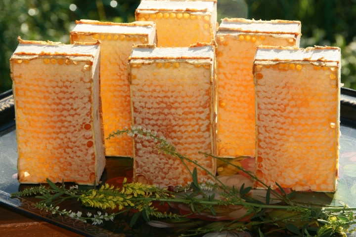 Фото из интернета