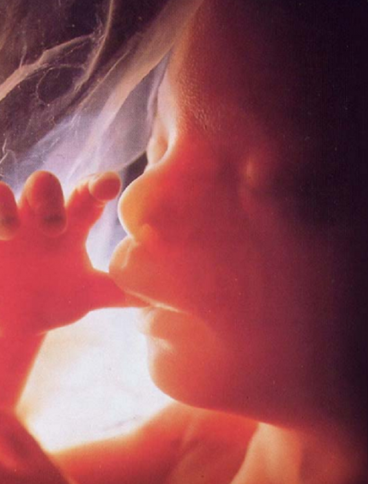 Источник: Яндекс.Картинки