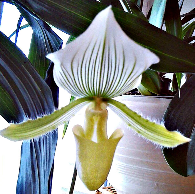 Автор фото: Римма Столярова