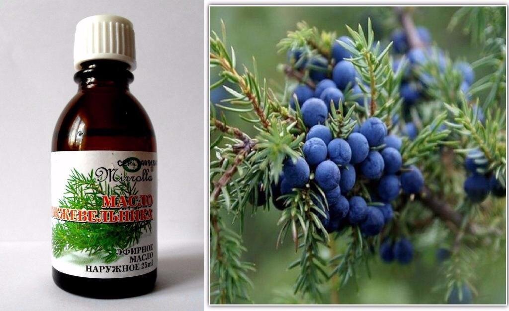 МОЖЖЕВЕЛОВОЕ МАСЛО, ПРИГОТОВЛЕННОЕ  ДЛЯ РЕАЛИЗАЦИИ И ЛЕЧЕНИЯ :