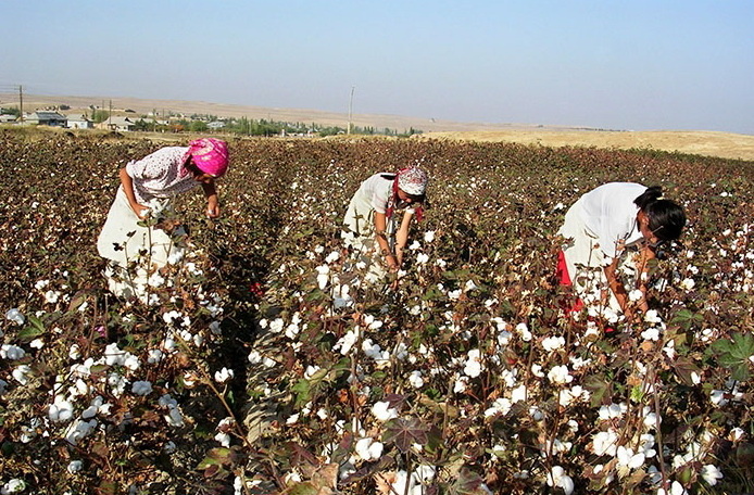 фото из Яндекса