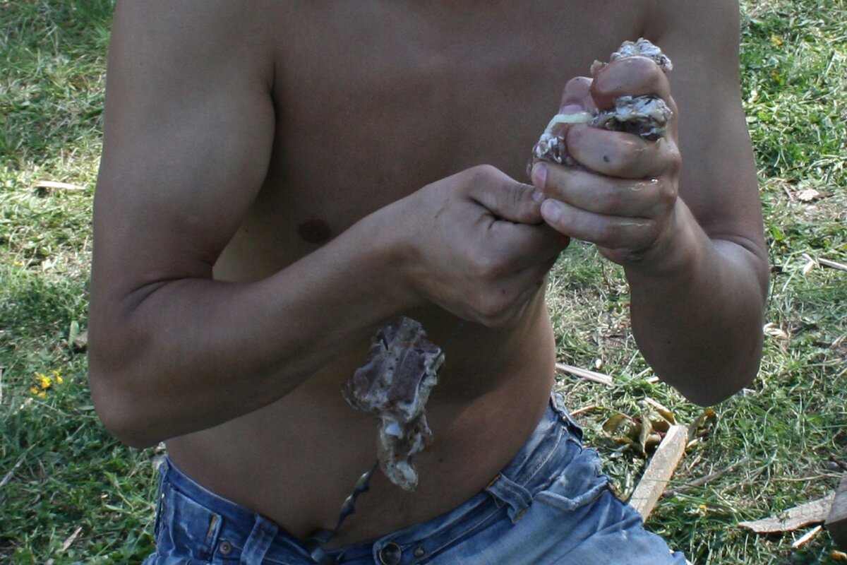 Шашлык, костер, дрова ( отдых )