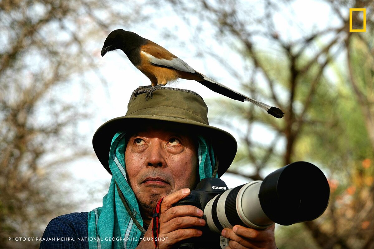 Как стать фотографом в National Geographic? | Honka.magazine | Дзен
