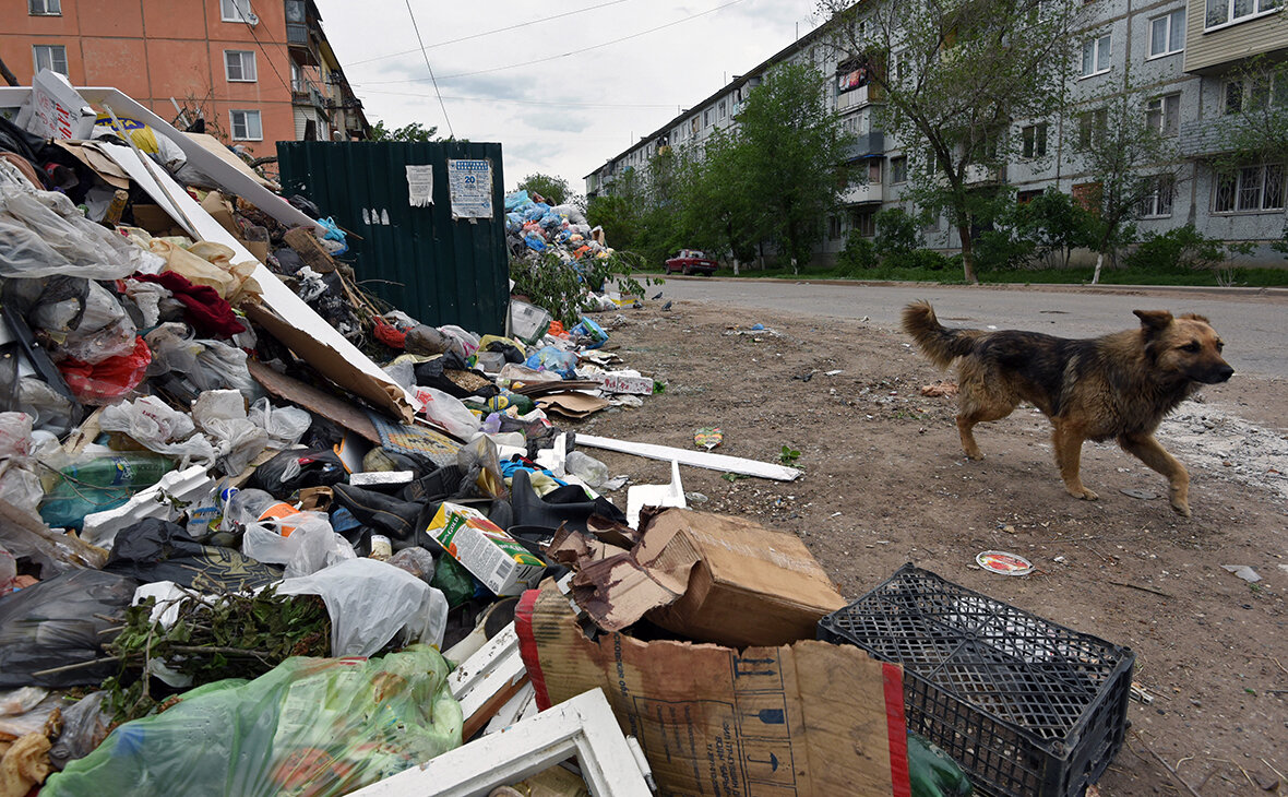 Фото: Максим Коротченко/ ТАСС