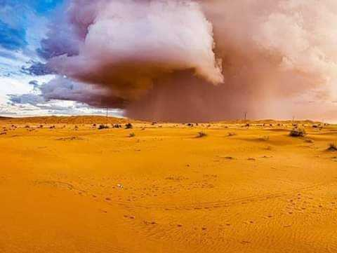 Источник: @severeweather
