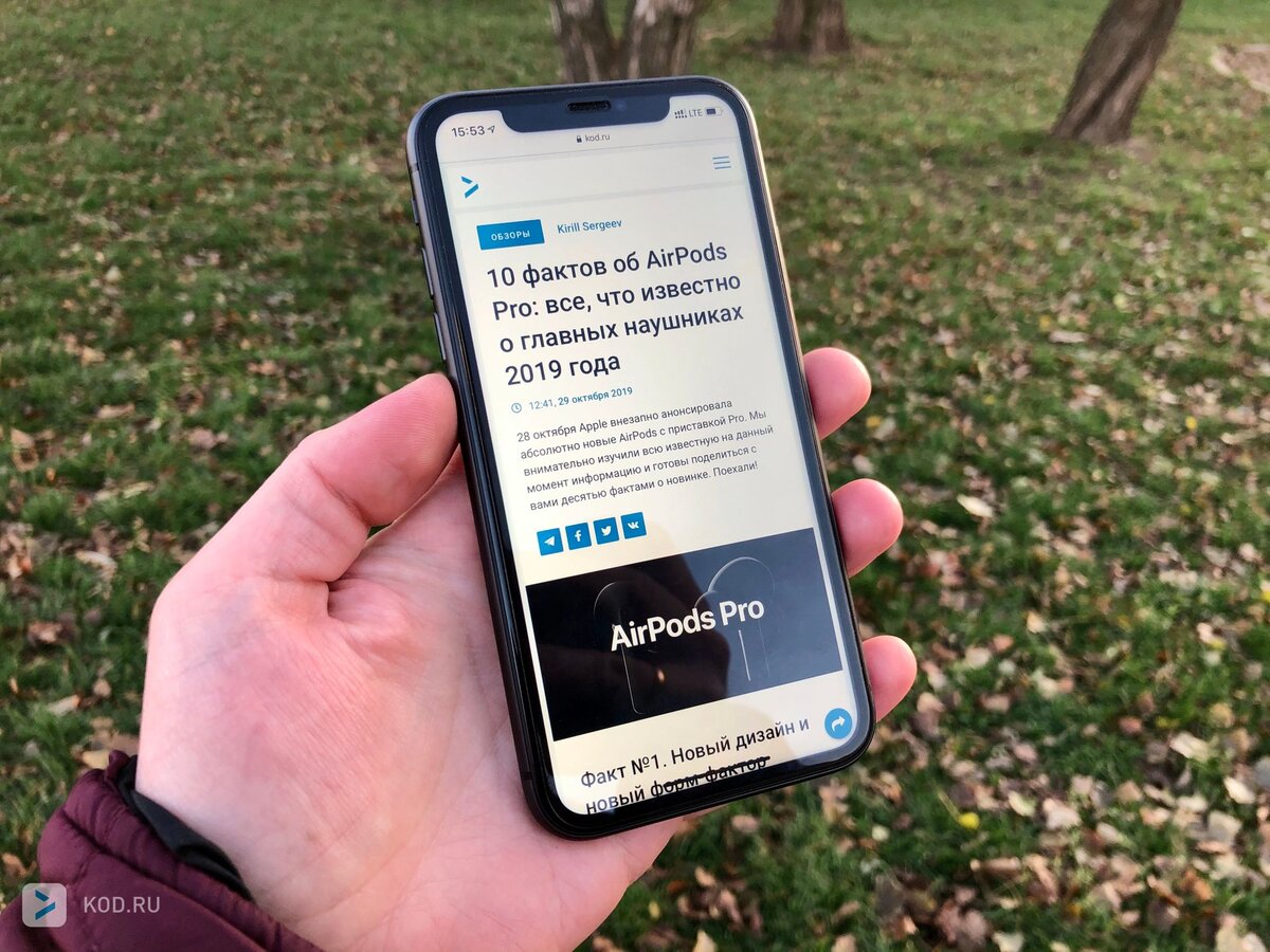 Два месяца с «народным айфоном»: опыт использования и другие мысли об  iPhone 11 | Код Дурова | Дзен