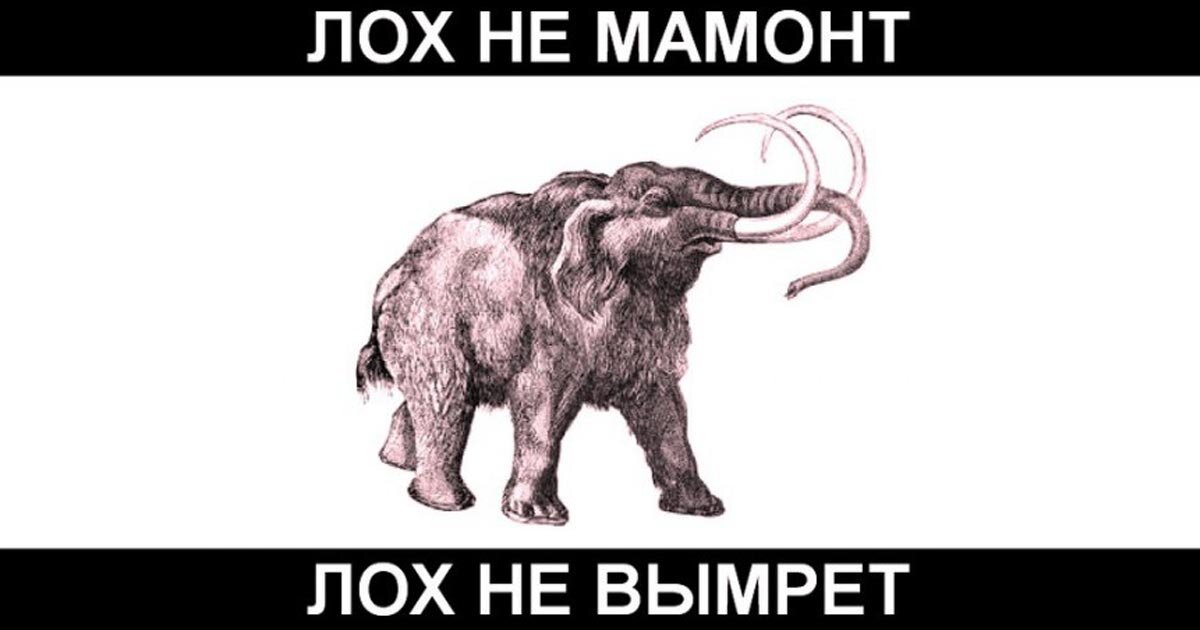 Гудронаторы и заливщики швов - смотреть каталог, выгодные условия, доставка по России – СпецСнаб