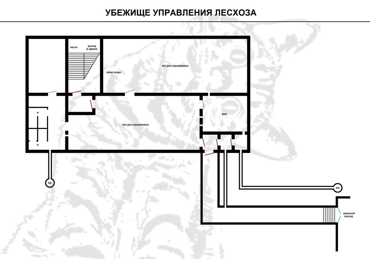 Брошенное убежище под зданием Управления лесного хозяйства