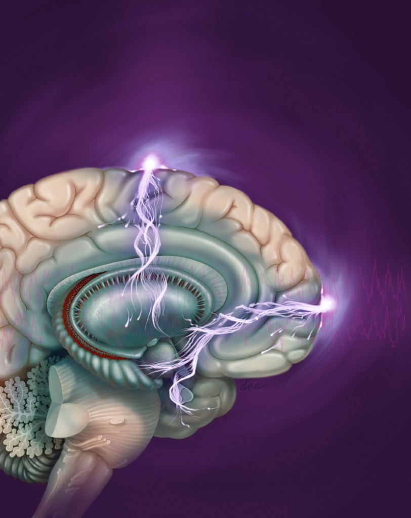 Источник: Яндекс. Картинки