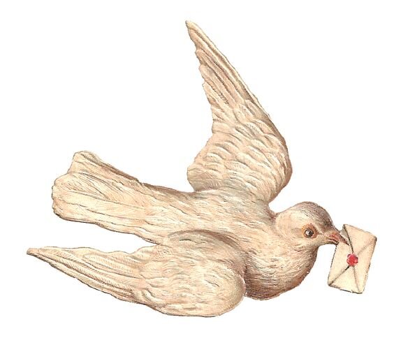 http://antiqueimages.blogspot.com/2015/10/white-dove-digital-image-clipart.html