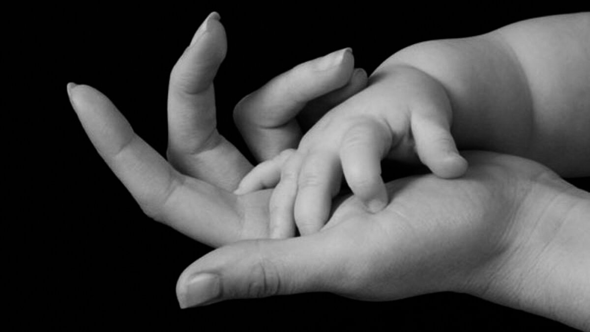 фото из открытых источников в интернете