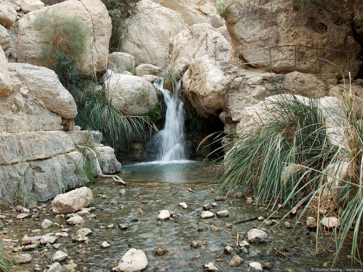 Заповедник Эйн-Геди